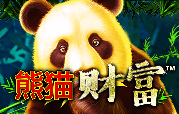 6686官方版app下载